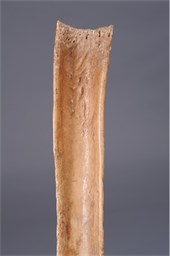 EARLY ABELAM BONE DAGGER